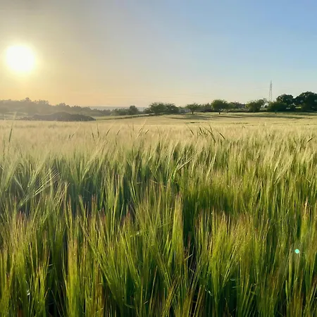 Sa Maniga 6-h * 卡拉米洛