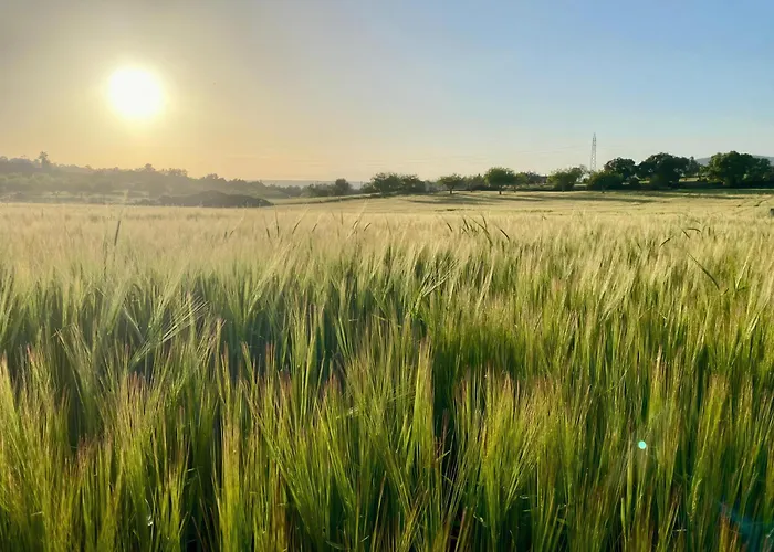 Sa Maniga 6-h * Cala Millor (Mallorca)